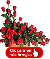 Rosas en Baules, Bogotá Distrito Capital de Colombia