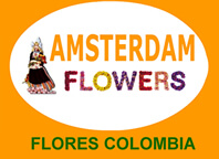 Flores Bogota Floristería