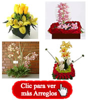 Arreglos Flores Orquideas