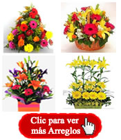 Floristerias en Bogota