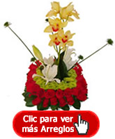 Arreglos con Flor Colombiana Orquideas