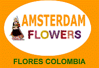 Flores Colombia Floristeria