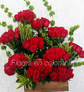 Rosas en Colombia